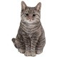 Cat Food Cat Food