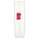 Chef's Larder 2cl Plastic Shot Glasses x 80 109670