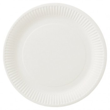 White Paper Plates 23cm 10 x 100s 278183